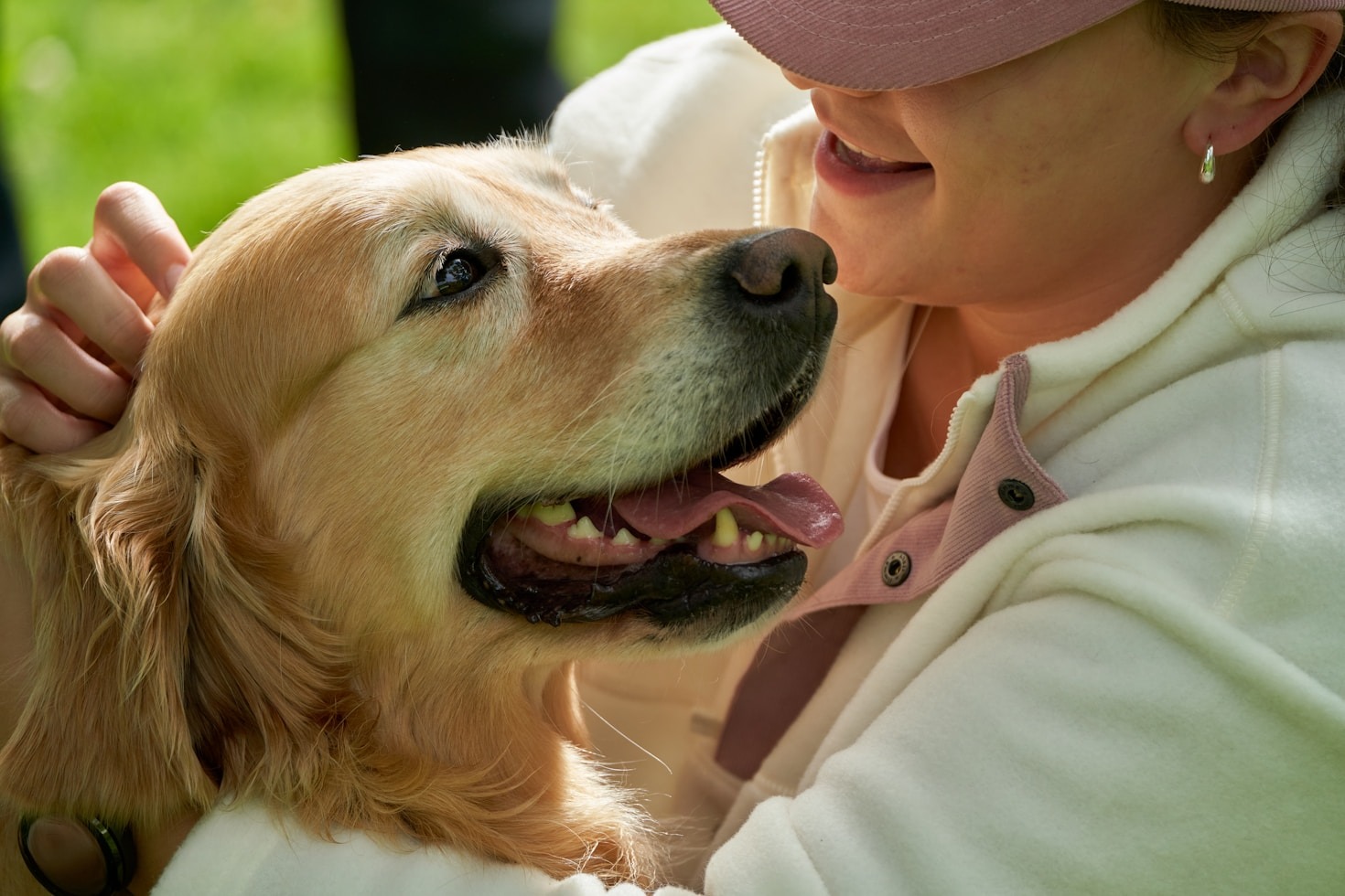 Crea un vínculo más fuerte con tu perro
